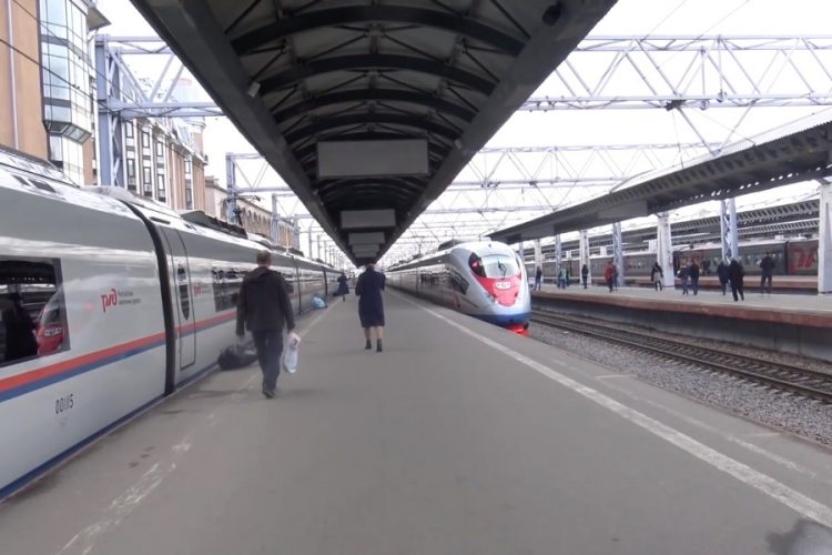 Поезда Санкт-Петербург – Хельсинки задержали из-за упавшего дерева