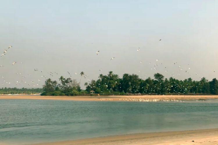 Что изменилось с удешевлением визы в Индию?