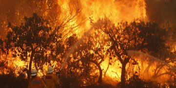 новость 10-11-2019 Лесные пожары вышли из под контроля на востоке Австралии