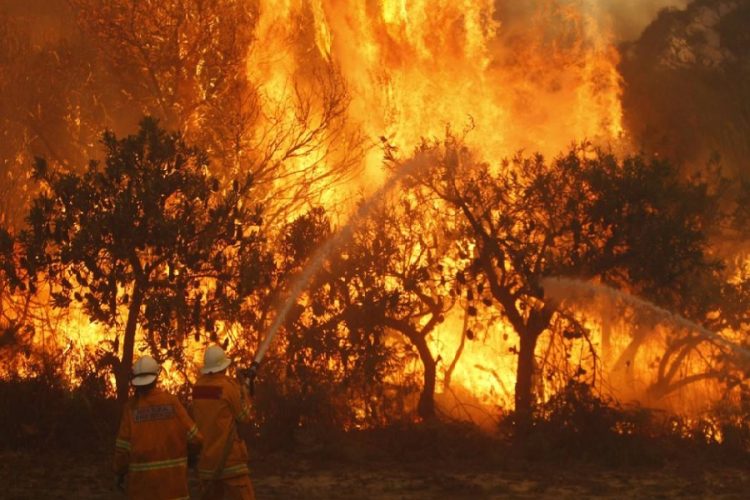 новость 10-11-2019 Лесные пожары вышли из под контроля на востоке Австралии