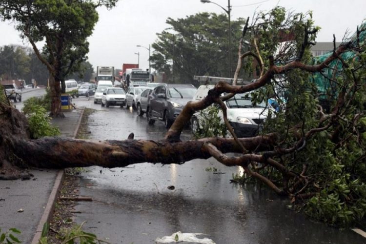 новость 13-11-2019 Сильный шторм вызвал хаос в различных частях Дурбана