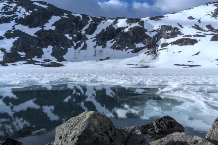 Норвегия предлагает новую площадку для наблюдения за китами