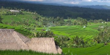 Путеводитель рекомендует не посещать Бали