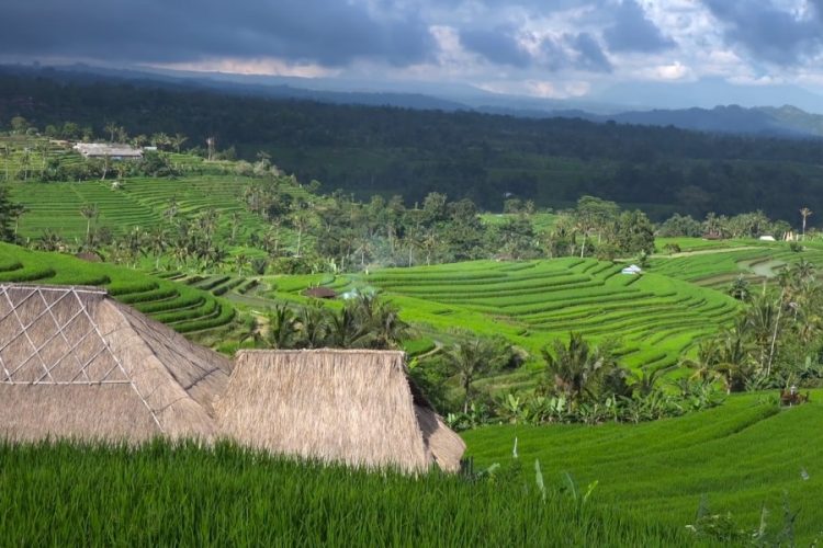 Путеводитель рекомендует не посещать Бали