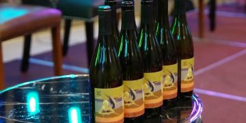 Ноябрьфест побил рекорд по турпотоку в этом году