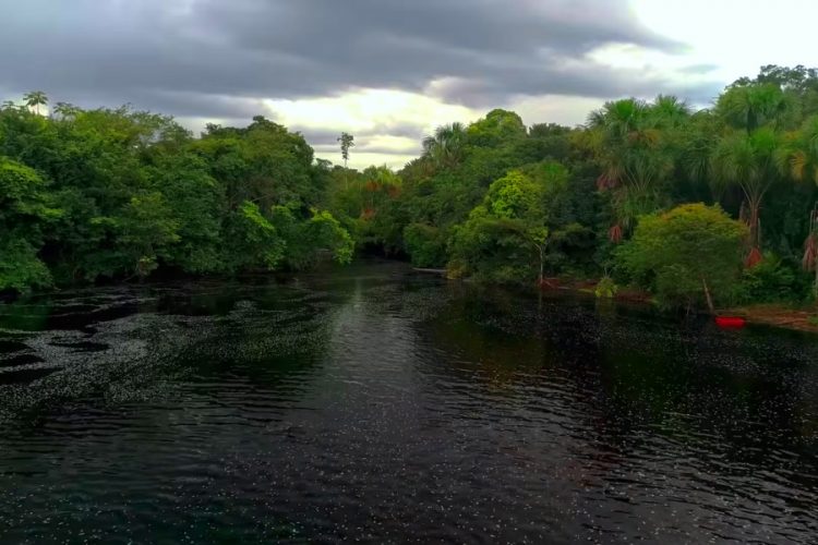 Британец едва не погиб после купания в африканском озере