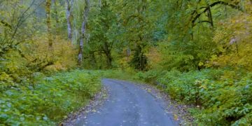 КНДР уберет объекты Южной Кореи на курорте Кымгансан