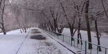 Восток Франции накрыли снегопады