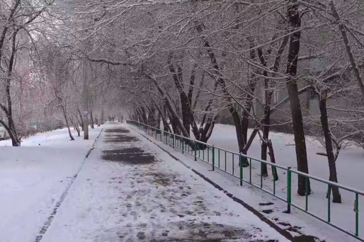 Восток Франции накрыли снегопады