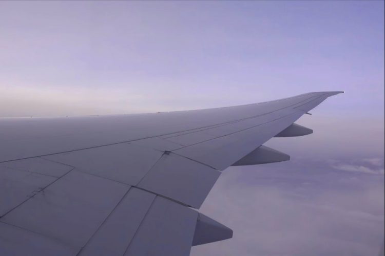 American Airlines и JetBlue запустили распродажу на Хэллоуин