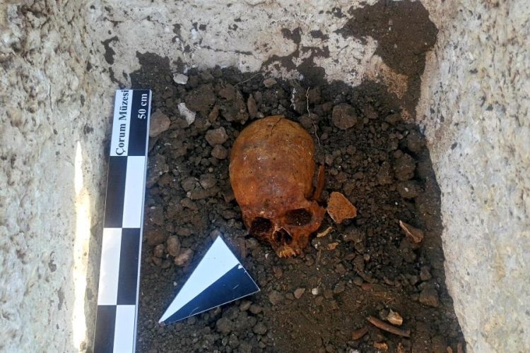В центральной Турции нашли саркофаг со скелетом женщины