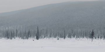 16 туристов посетят Северный полюс в уникальном туре