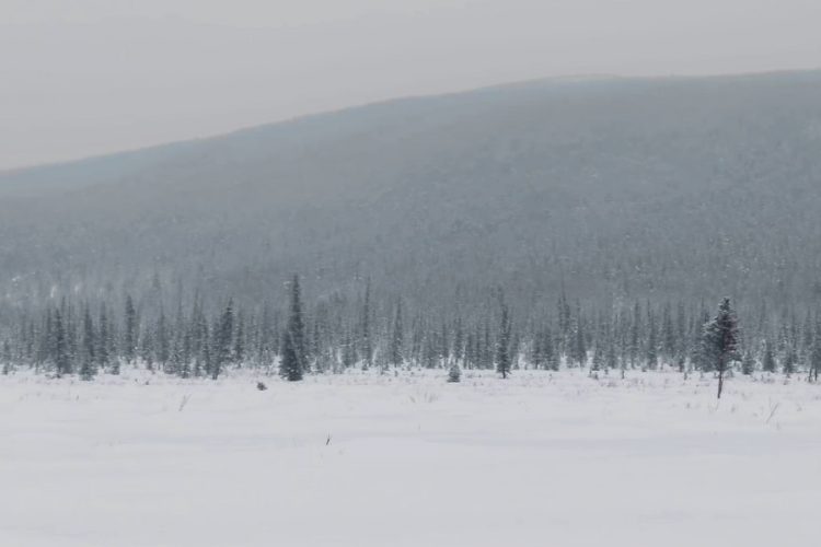 16 туристов посетят Северный полюс в уникальном туре