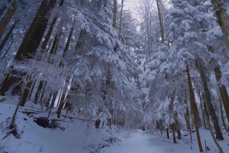 Снег привлек туристов в провинцию Сычуань