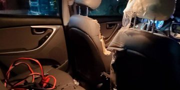 В аэропорту Аляски медведь вскрыл 2 автомобиля