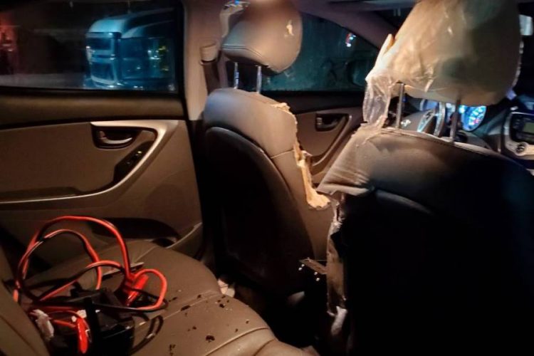 В аэропорту Аляски медведь вскрыл 2 автомобиля