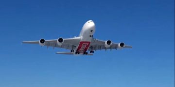 Авиакомпания Emirates научит пассажиров ценить исчезающих животных