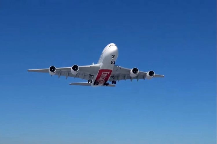 Авиакомпания Emirates научит пассажиров ценить исчезающих животных