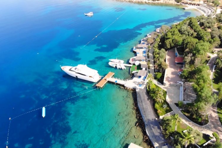 Проблему пищевых отходов в туризме нужно срочно решать