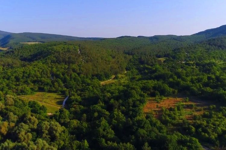 КНДР отказывается от переговоров с Сеулом по поводу Кымгансанского туркомплекса