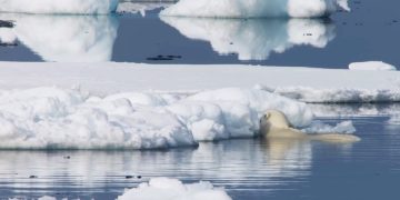 Япония будет развивать туризм на Дальнем Востоке