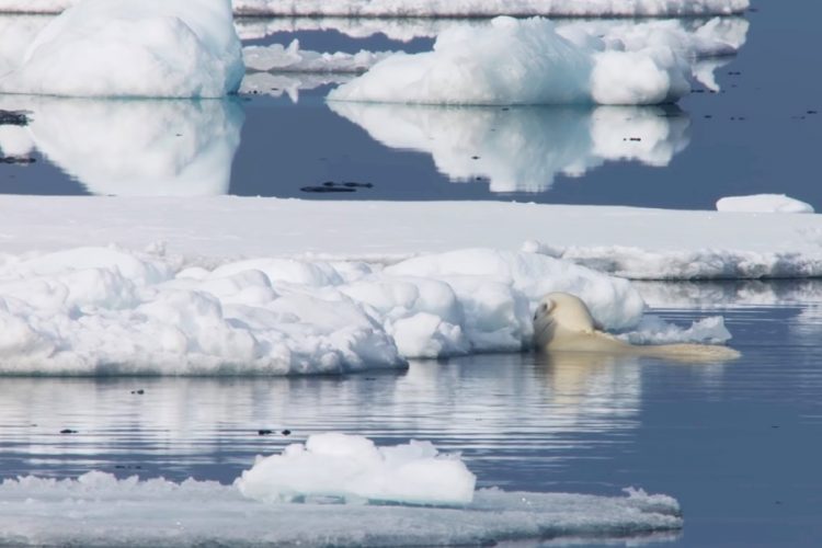 Япония будет развивать туризм на Дальнем Востоке
