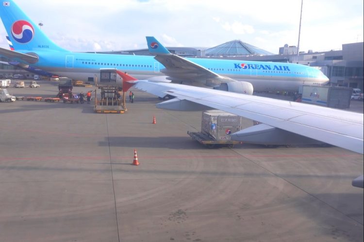 Появилась новая услуга - няня в полете