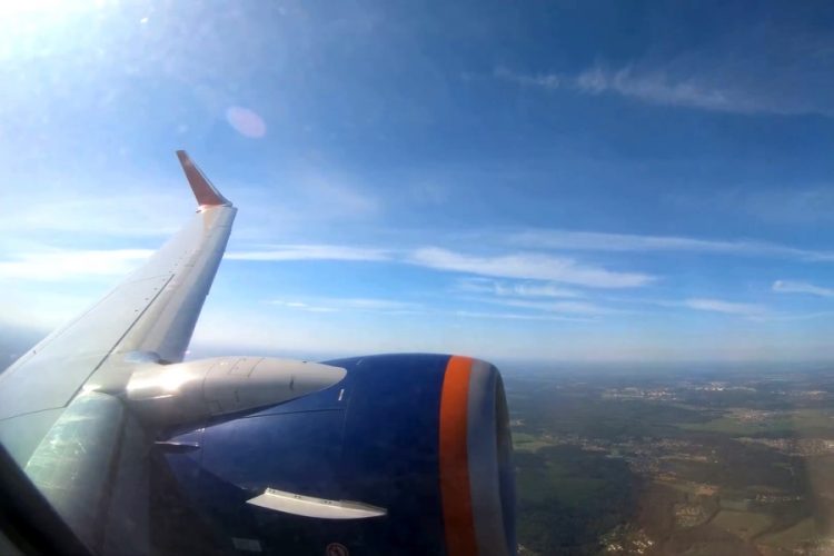 У пассажира с толстым котом Аэрофлот отбирает мили