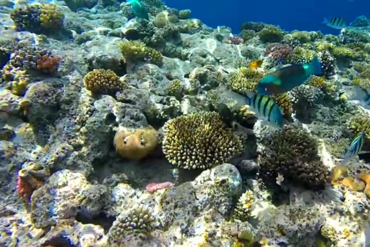 Британия снова заявила об опасности полетов в Египет