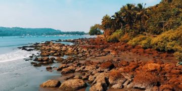 В Гоа погиб турист из России