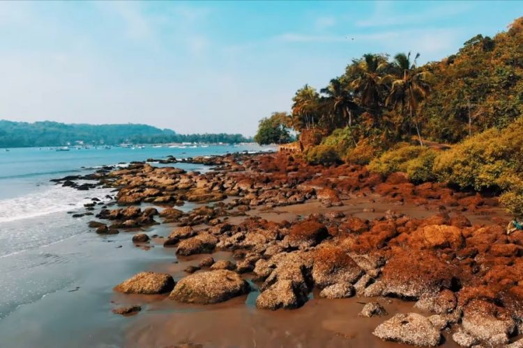 В Гоа погиб турист из России