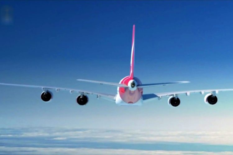 Звезда Black Eyed Peas обвиняет стюардессу в расизме