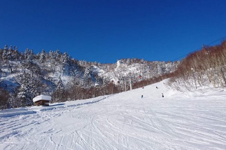 новость 29-12-2019 На Хоккайдо наблюдается серьезная нехватка снега