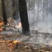 новость 30-12-2019 Новые пожары в австралийском штате Виктория