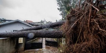 новость 23-12-2019 Число погибших от штормов в Европе выросло до девяти