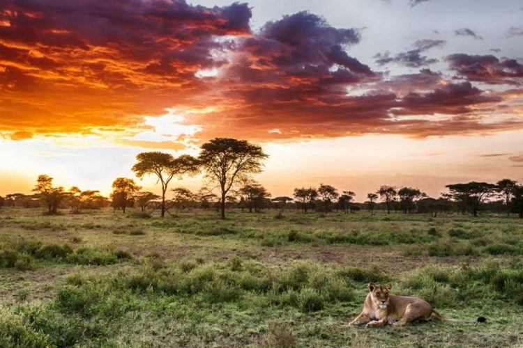 новость 28-12-2019 Туристы из Израиля выбирают африканское направление