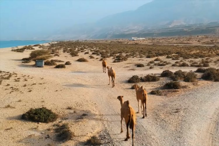 Оман приглашает туристов на кольцевое затмение