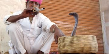 Туристы могут отказаться от Индии из-за протестов