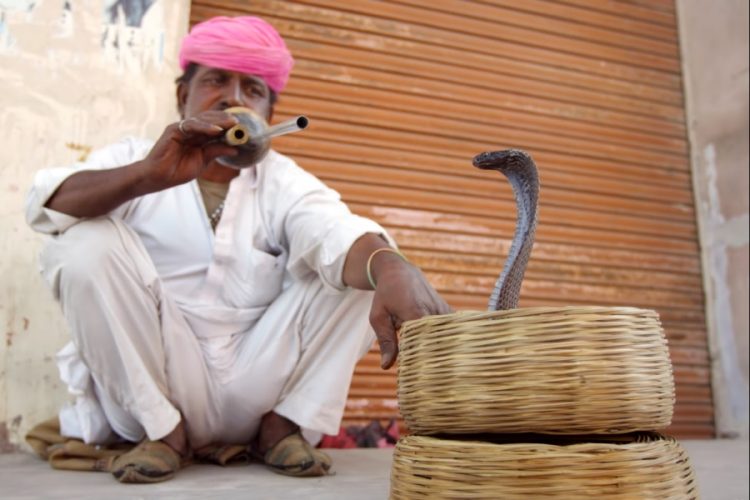 Туристы могут отказаться от Индии из-за протестов