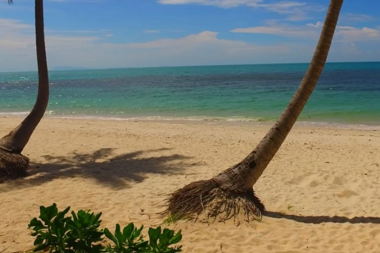 На Самуи больше отелей, чем гостей