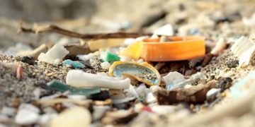На юге Израиля запретили пластик, чтобы защитить Красное море