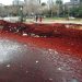 Мраморное море тонет в водорослях