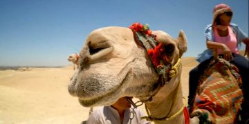 Действительно ли трасса Каир - Шарм-эль-Шейх сократит время в пути?