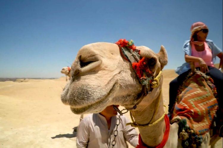 Действительно ли трасса Каир - Шарм-эль-Шейх сократит время в пути?