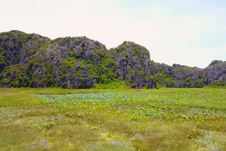 ЮНЕСКО выносит предупреждение вьетнамскому объекту - туристов нужно ограничить