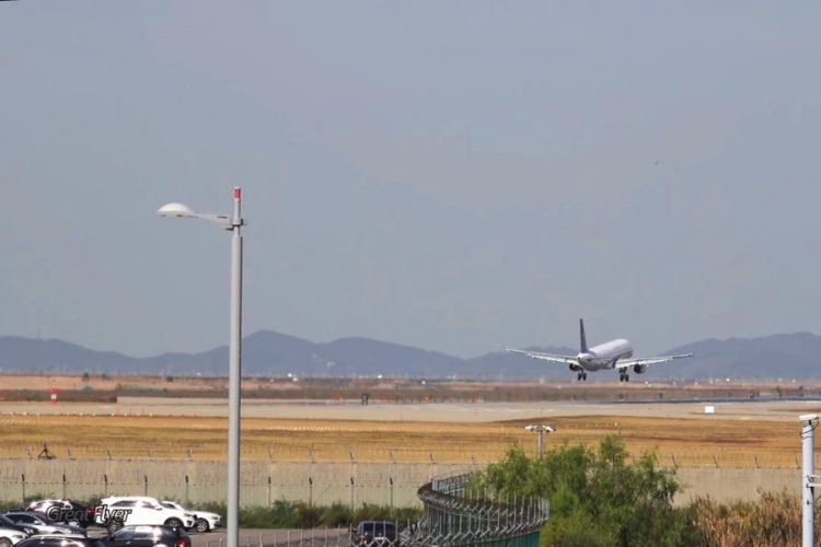 Пассажирку могут посадить на 2 года за дебош в самолете