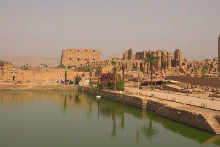 Египет: один человек из каждой семьи должен работать в туризме