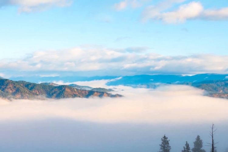 Выбросы углерода на одного пассажира снизились