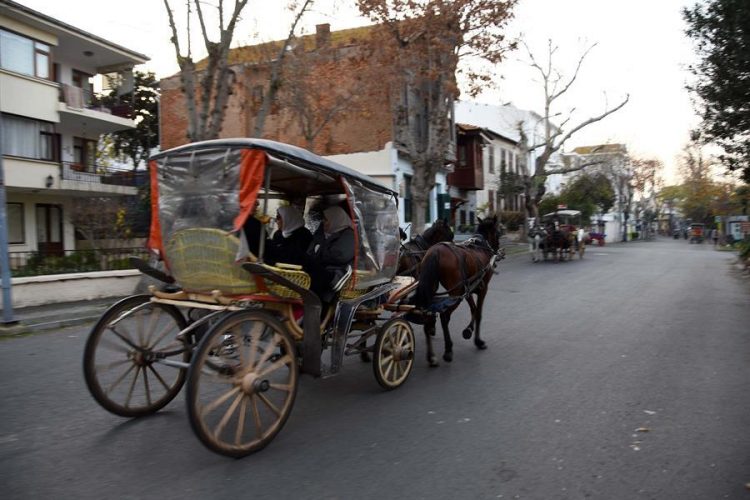 Конные повозки исчезнут на Принцевых островах (Турция)