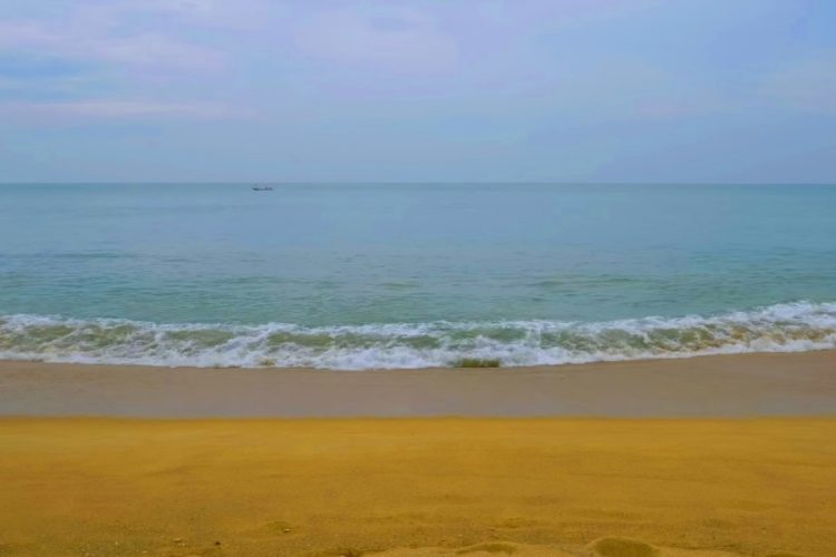 У туристов снова возникли пролемы с сайтом Aerobilet.ru